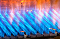 Burlish Park gas fired boilers
